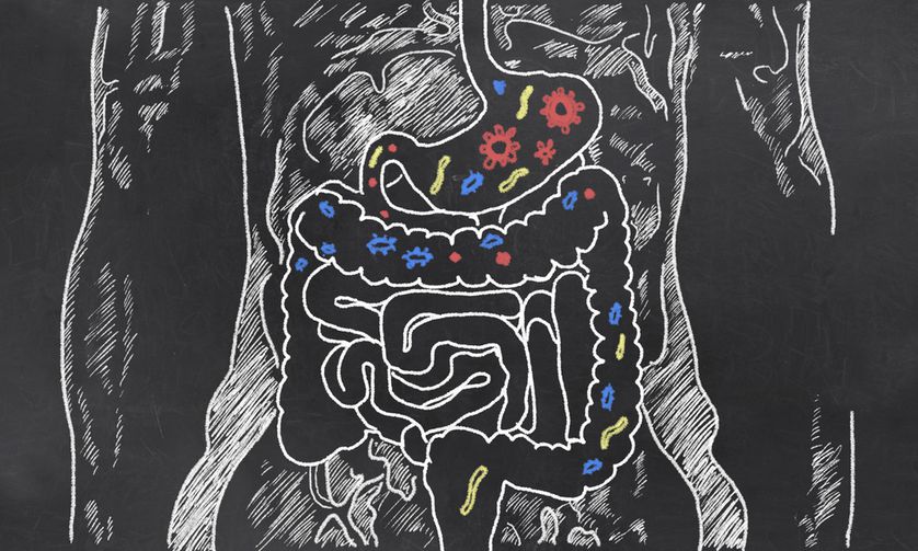 838x503 scientists find a second 'brain' in the gut mnn - Intestines Drawing