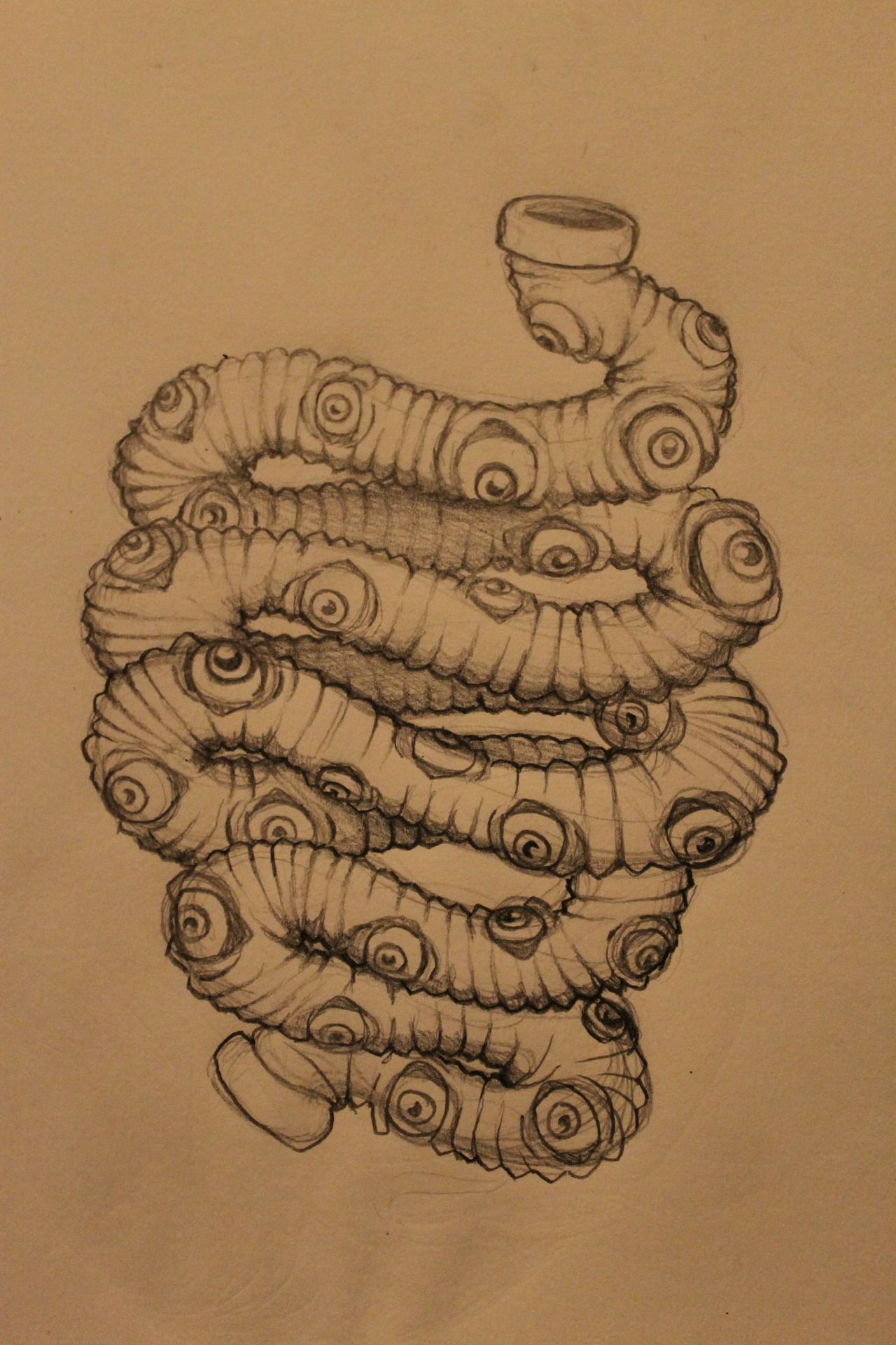 1280x1920 Pencil, Drawing, Eyes, Intestines, Insides, Bowels, All Seeing Eye - Intestines Drawing