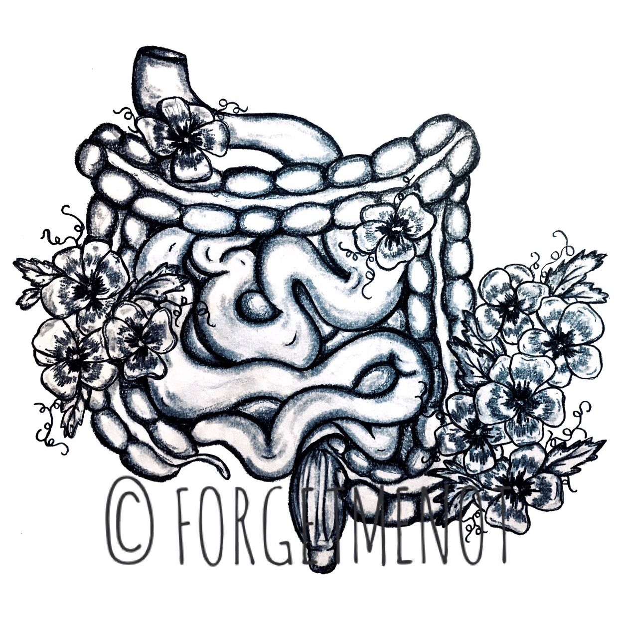 1242x1242 drawing art, anatomical art, anatomy art, flower art, pansy - Intestines Drawing