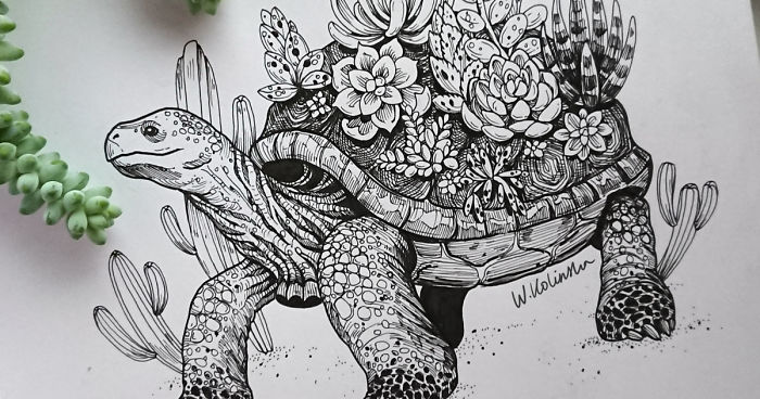 700x368 i create intricate drawings of animals embedded with their natural - Intricate Drawings