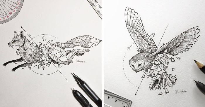 700x367 intricate drawings of wild animals fused with geometric shapes - Intricate Drawings