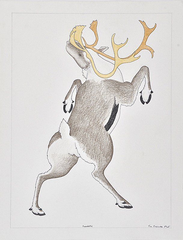 609x800 punniapik' - Inuit Drawings