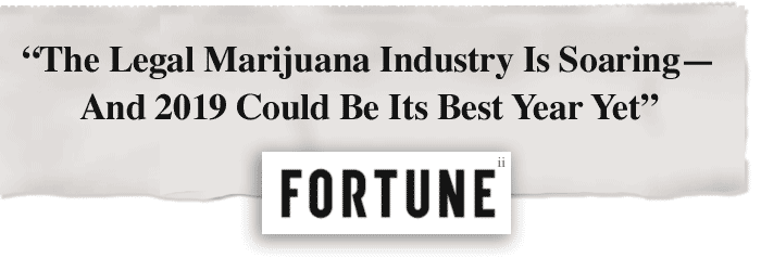 700x238 unique cannabis investment drawing significant attention - Investment Drawing