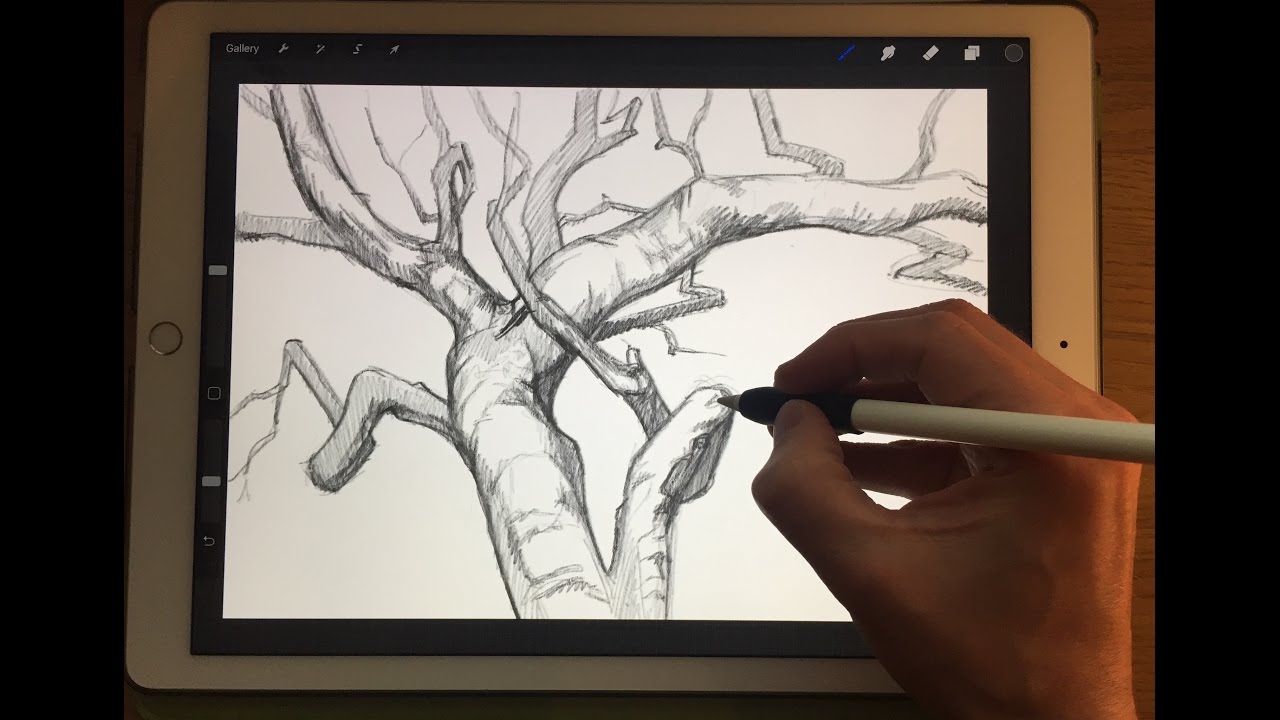 1280x720 how to draw tree branches, apple pencil drawing tutorial on ipad - Ipad Drawing