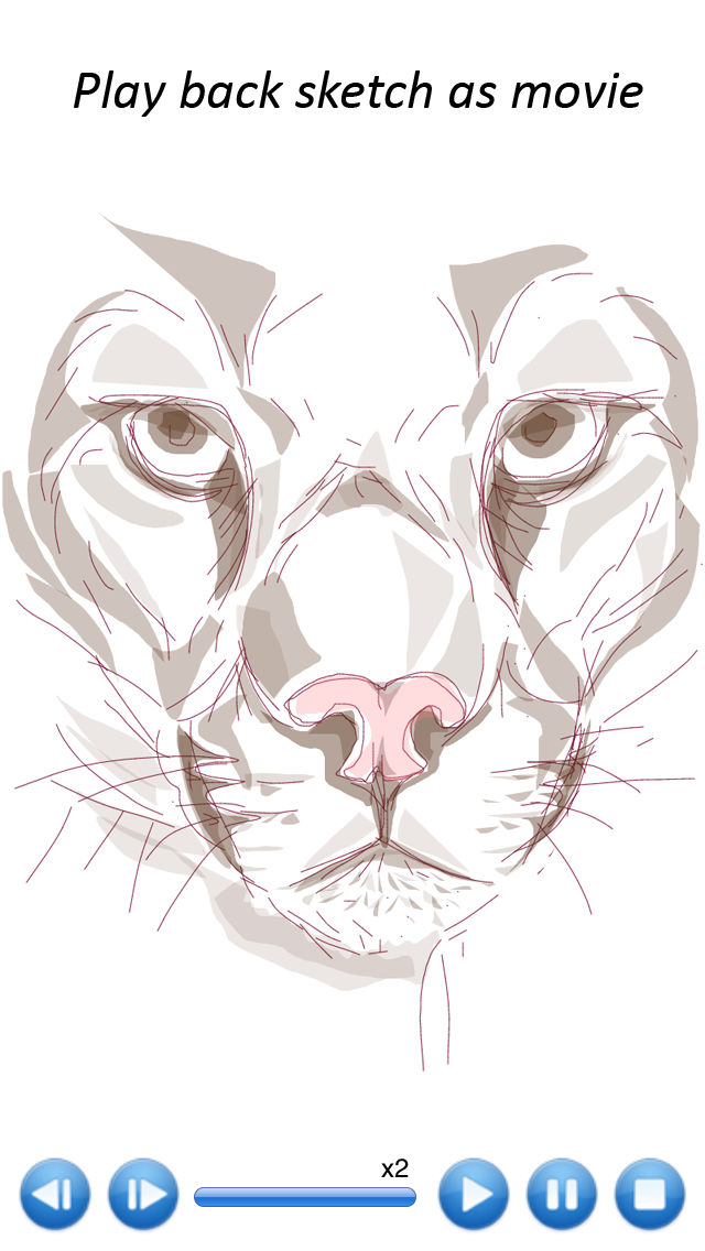 640x1136 Sketch Guru - Iphone Drawing Pad