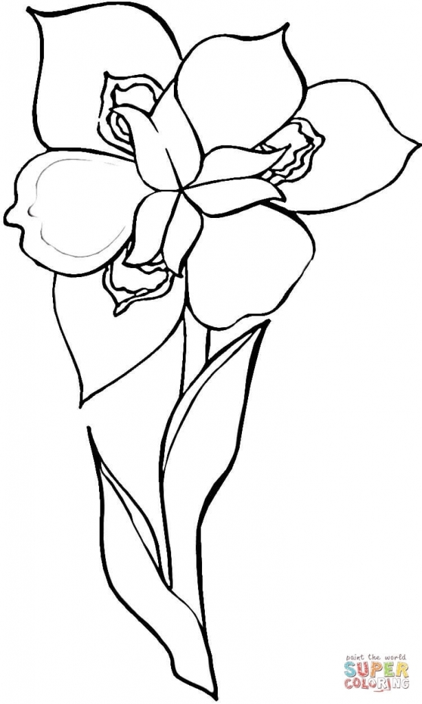 614x1024 iris drawing violet flower for free download - Iris Drawing