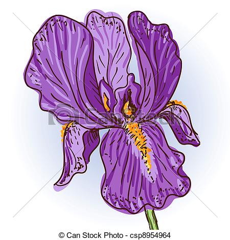 450x470 purple iris hand drawn illustration of a purple iris - Iris Drawing