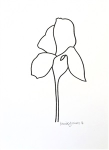 218x300 derrick greaves iris drawings auf artnet - Iris Drawing