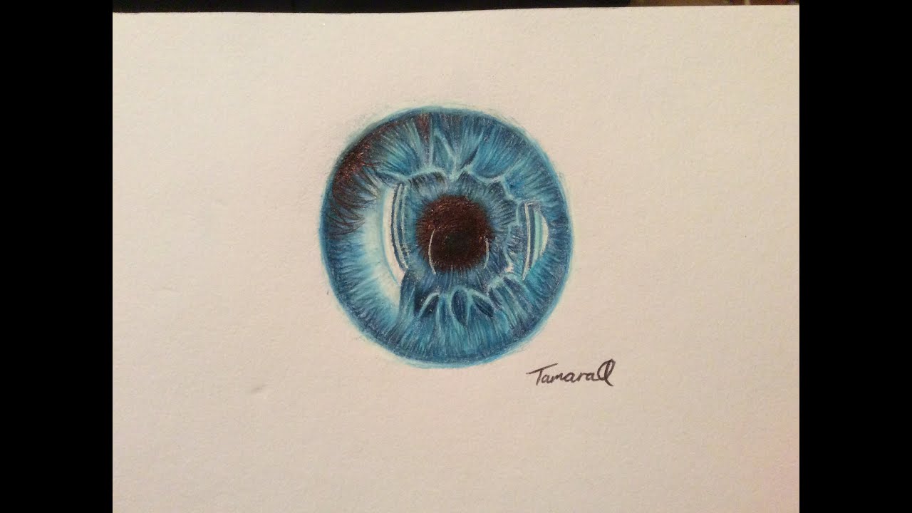 1280x720 Eye Drawing In Prismacolor Pencil - Iris Drawing