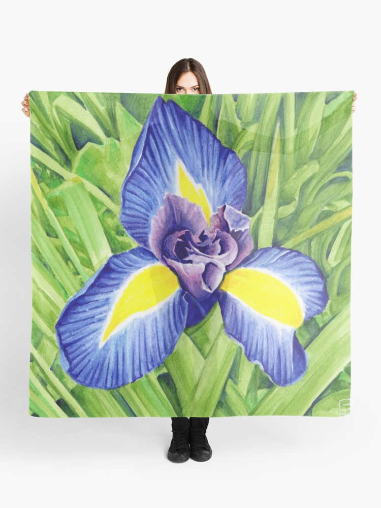 750x1000 Blue Iris Flower, Attingham Park - Iris Flower Drawing