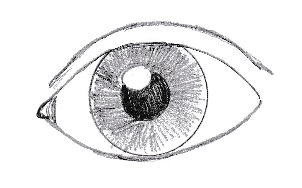 1023x637 How To Draw An Eye - Iris Line Drawing