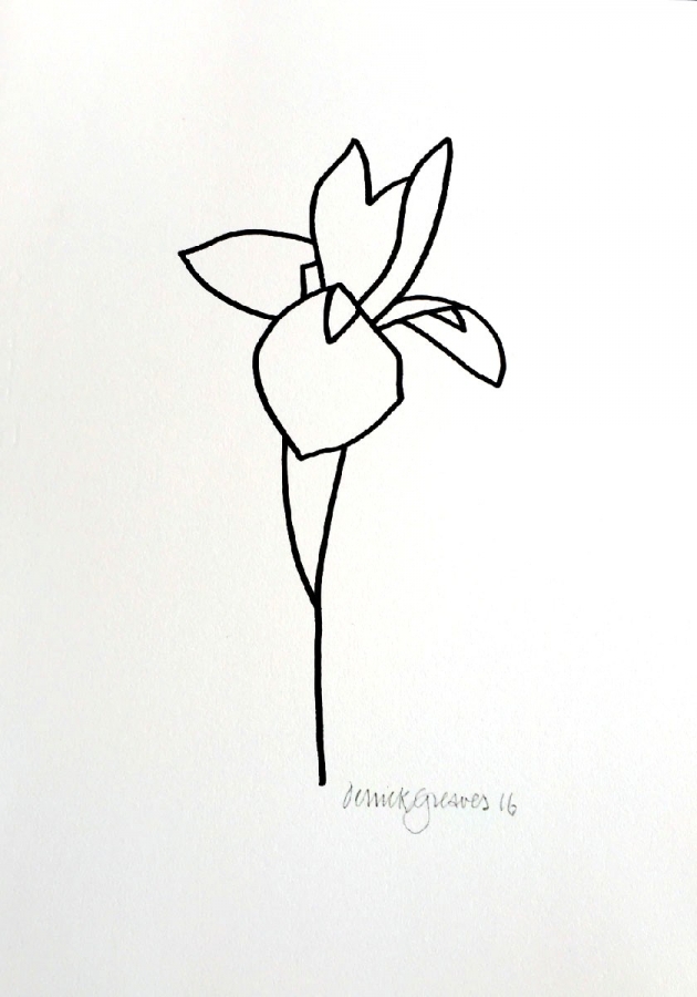 630x900 Iris Drawing - Iris Line Drawing