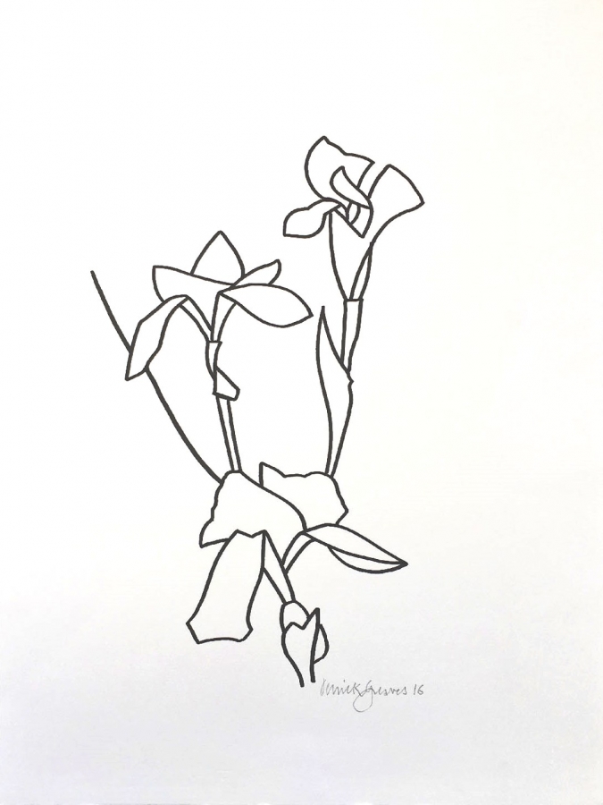 675x900 Iris Drawing - Iris Line Drawing