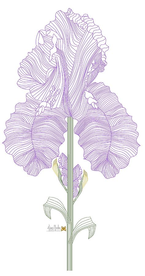 473x900 Iris Line Drawing Two Painting - Iris Line Drawing