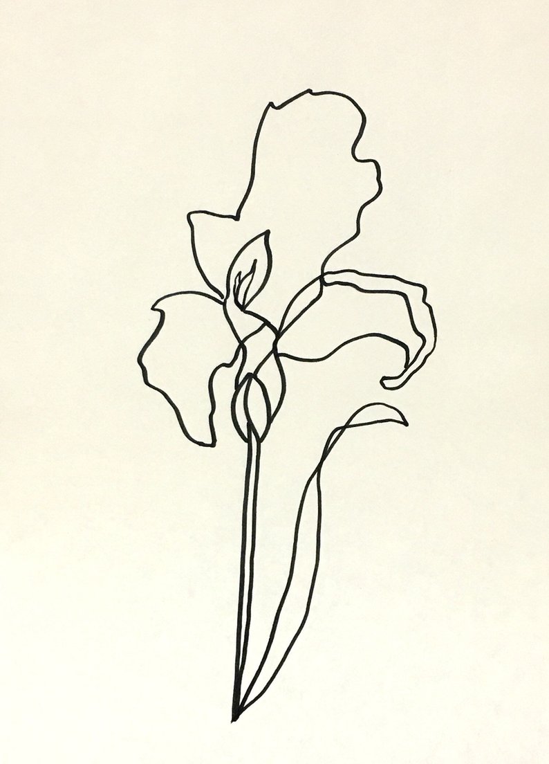 794x1104 Iris Minimalist Abstract Wall Art Marker Drawing Etsy - Iris Line Drawing