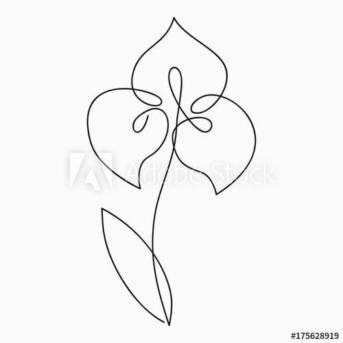 500x500 Iris One Line Drawing Continuous Line Flower Hand Drawn - Iris Line Drawing