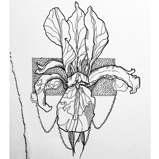 640x640 Line Drawing Of A Flower - Iris Line Drawing