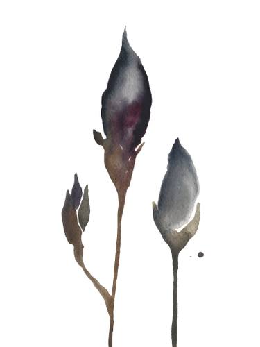 375x500 Minimalist Line Drawing Paintings For Sale Saatchi Art - Iris Line Drawing