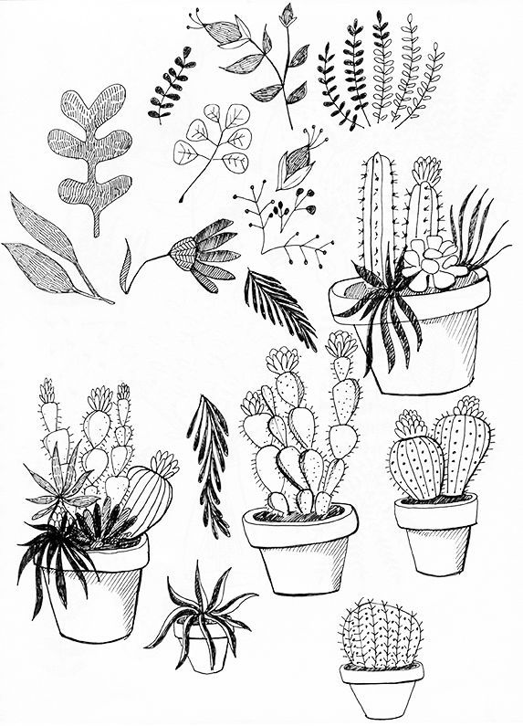 573x795 Pot Designs For Drawing Easy - Iris Line Drawing