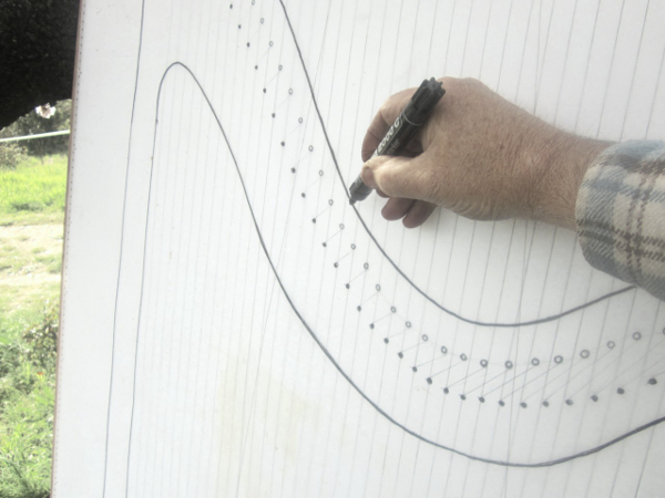 600x450 Didier Saimpaul Harp Technical Drawings - Irish Harp Drawing