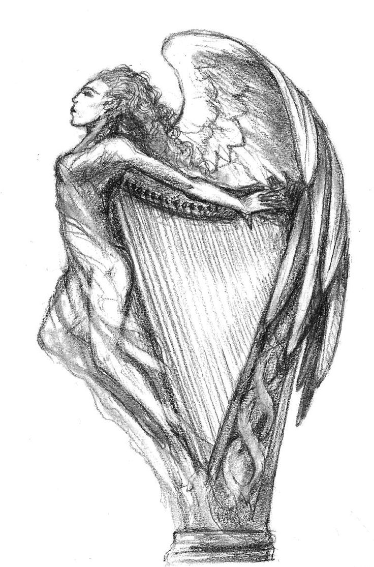 736x1115 irish harp drawing - Irish Harp Drawing