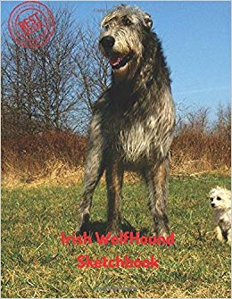 260x335 Irish Wolfhound Sketchbook Blank Paper For Drawing, Doodling - Irish Wolfhound Drawing