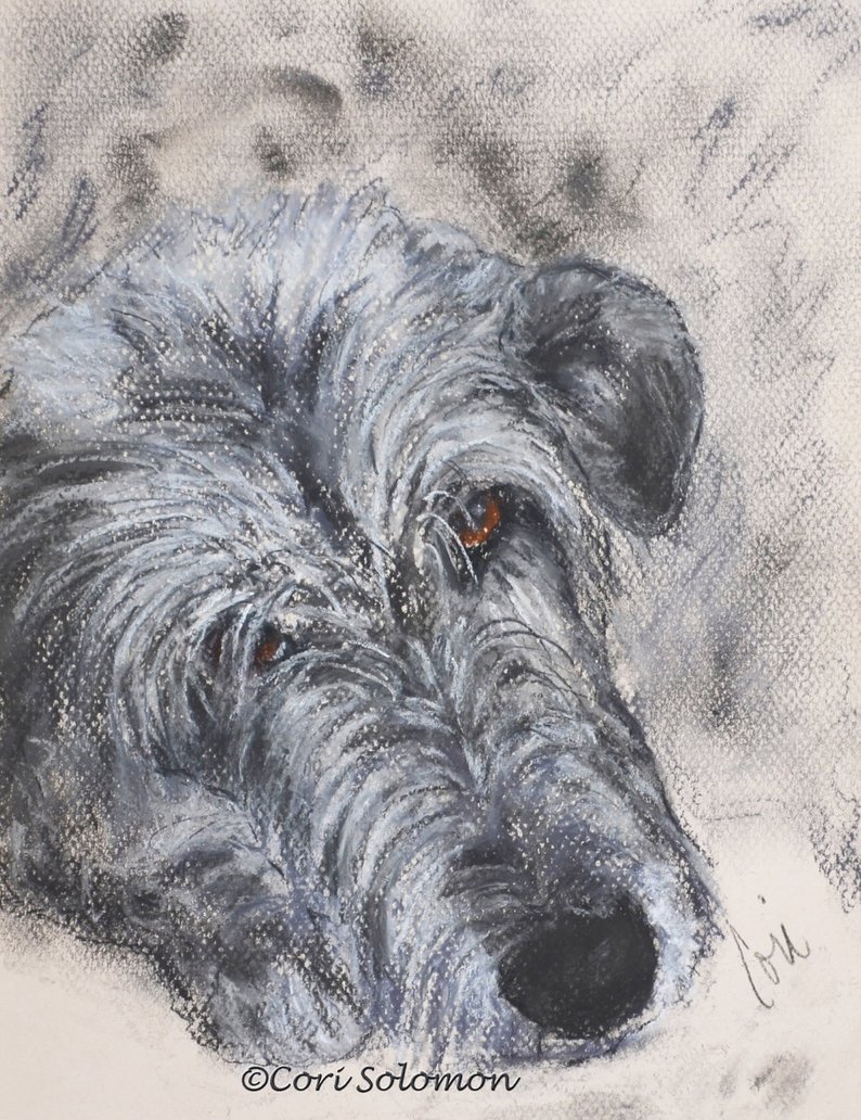 794x1032 Irish Wolfhound Art Original Pastel Drawing - Irish Wolfhound Drawing