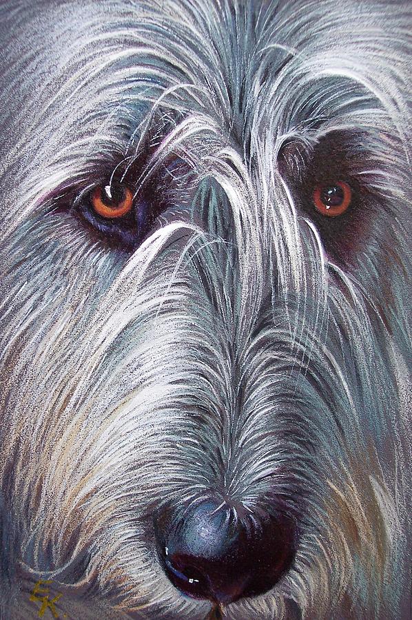 598x900 Irish Wolfhound Drawing - Irish Wolfhound Drawing