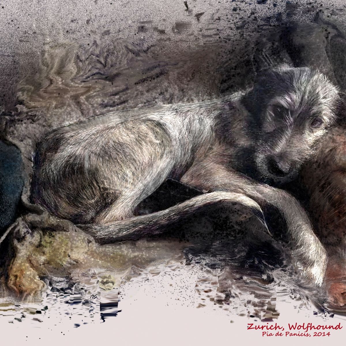 1200x1200 Zurich, Irish Wolfhound Drawing - Irish Wolfhound Drawing