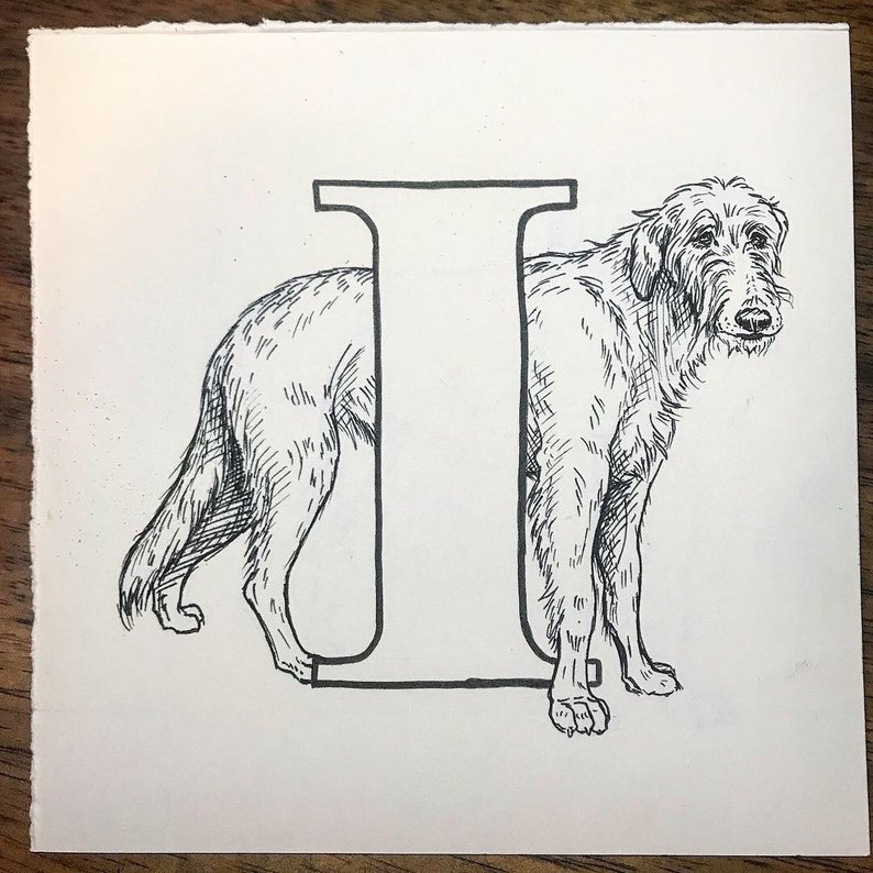 794x794 I Is For Irish Wolfhound Original Ink Drawing Etsy - Irish Wolfhound Drawing