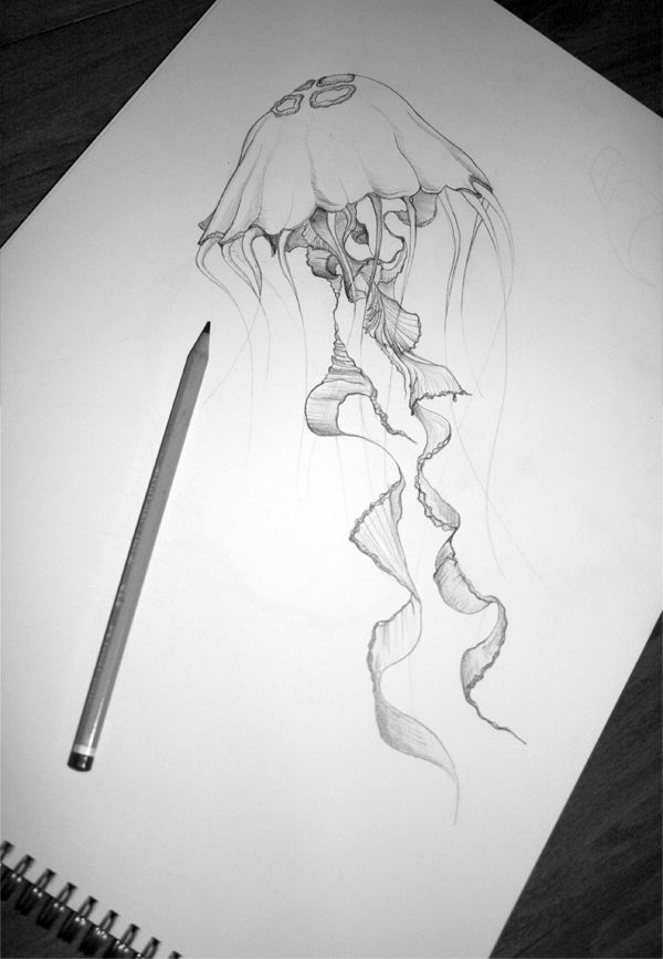 600x867 jellyfish this is talent art jellyfish art, jellyfish drawing - Is Drawing A Talent