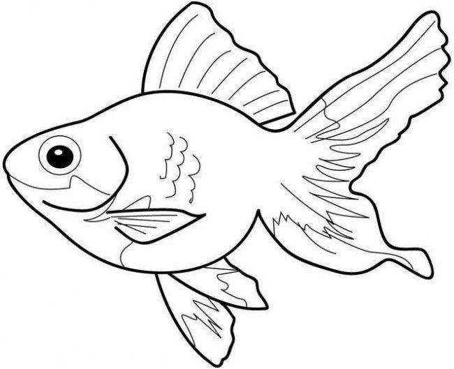 Isda Drawing at PaintingValley.com | Explore collection of Isda Drawing