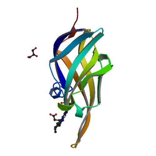 500x500 Rcsb Pdb - Isda Drawing