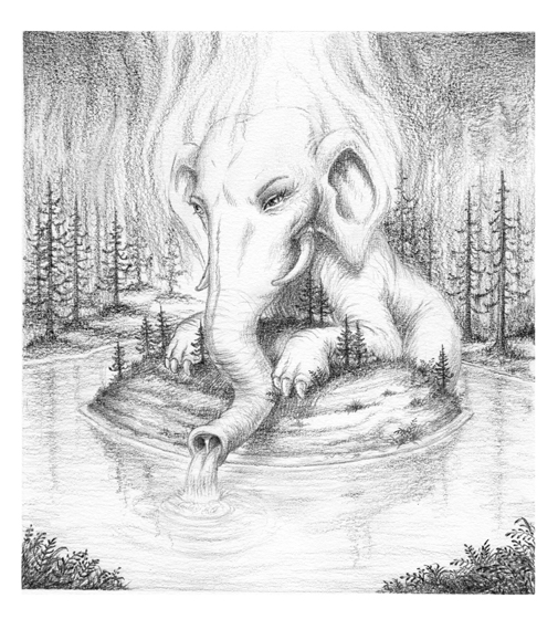 505x560 Scott Musgrove - Island Drawing