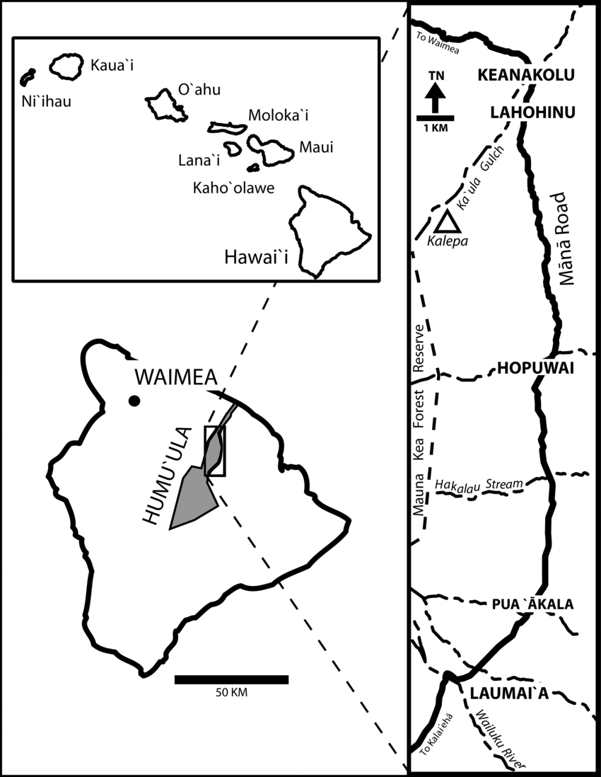 850x1098 Map Of Humu'ula Region, Hawai'i Island - Island Map Drawing