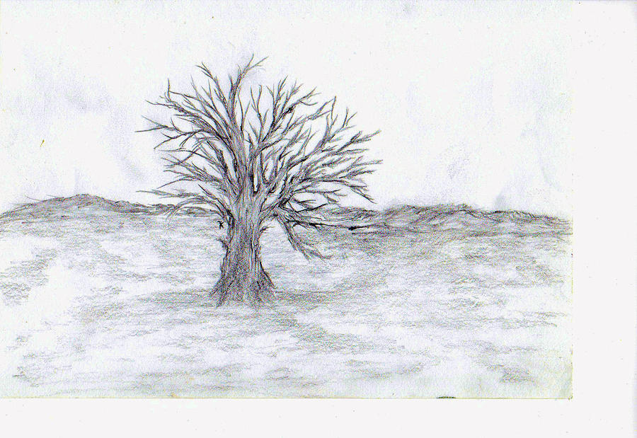 Isolation Drawing at Explore collection of