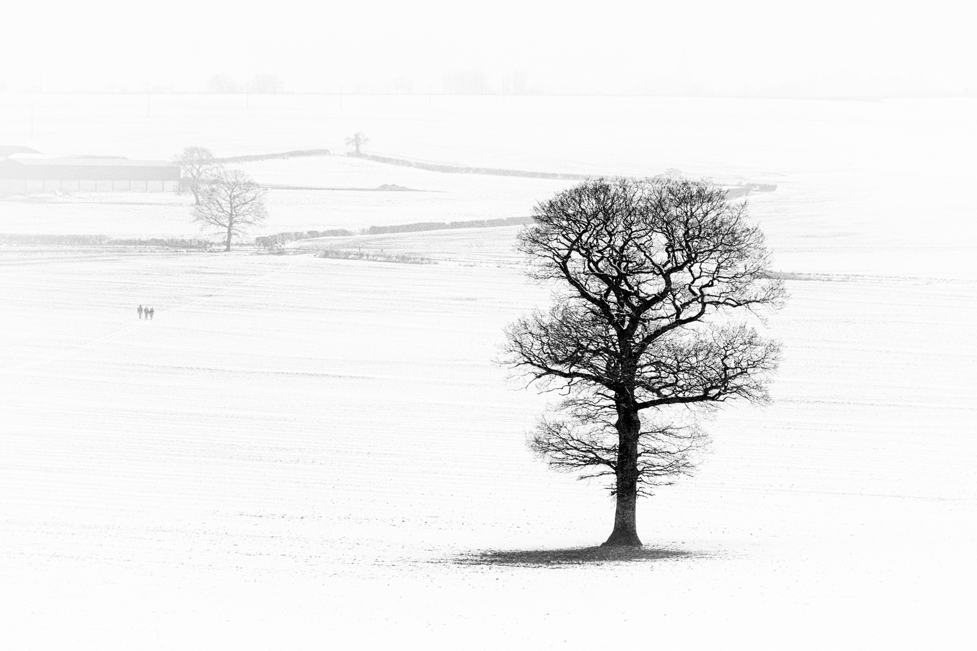 1920x1280 isolation open the door - Isolation Drawing