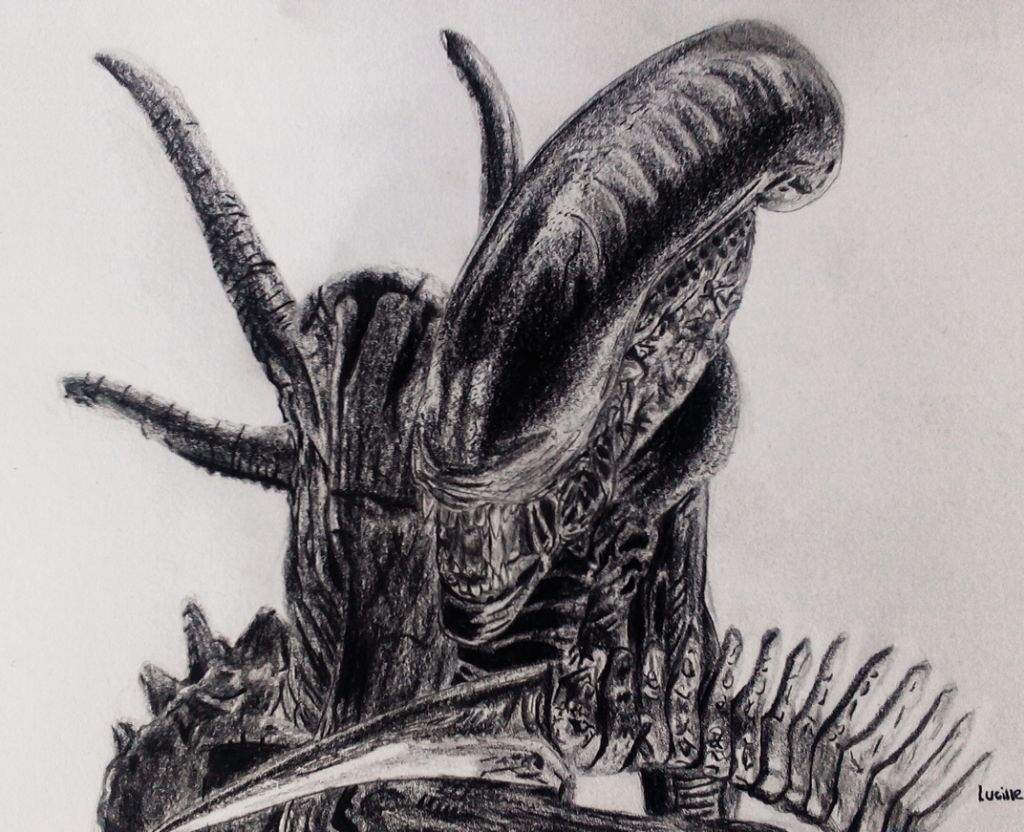 1024x832 xenomorph - Isolation Drawing