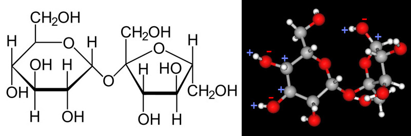 801x265 Experiment Help - Isopropyl Alcohol Line Drawing