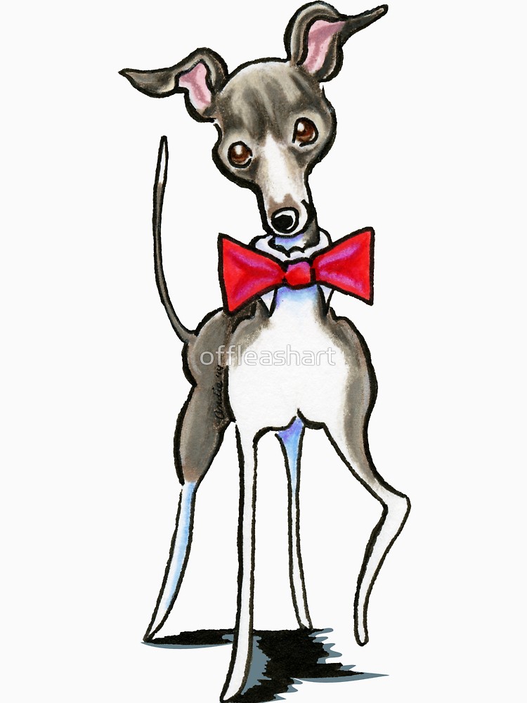 750x1000 italian greyhound antonio t shirt - Italian Greyhound Drawing