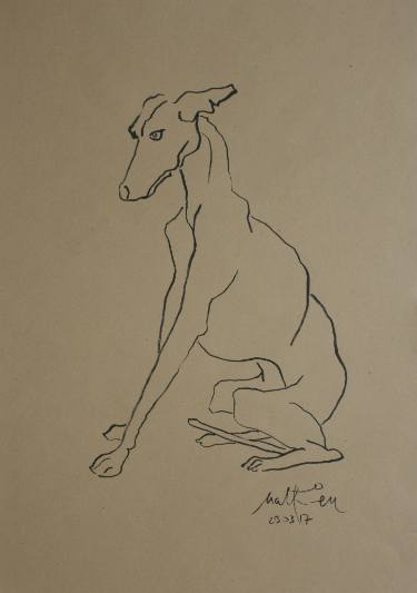 375x533 italian greyhound sitting drawing - Italian Greyhound Drawing