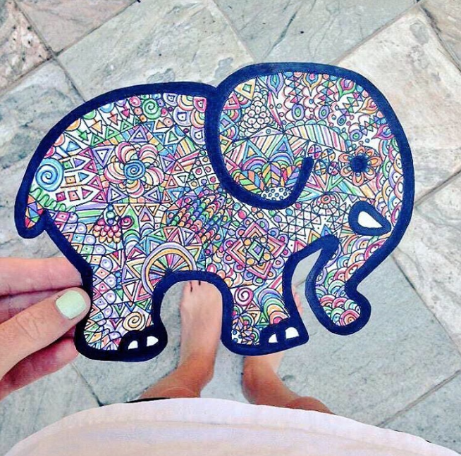 654x648 interview with ivory ella! pawsitive - Ivory Ella Elephant Drawing
