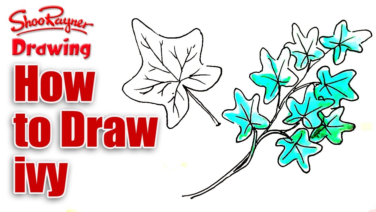 1280x720 How To Draw Ivy - Ivy Drawing