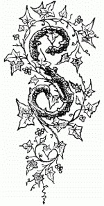 150x297 Ivy And S Drawing - Ivy Drawing