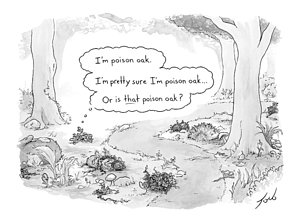 300x223 Poison Ivy Drawings Fine Art America - Ivy Drawing