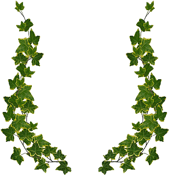 345x358 download ivy drawing frame - Ivy Drawing