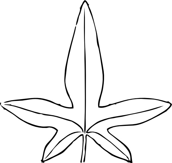 600x567 Ivy Leaf Clip Art Free Vector In Open Office Drawing - Ivy Leaf Drawing