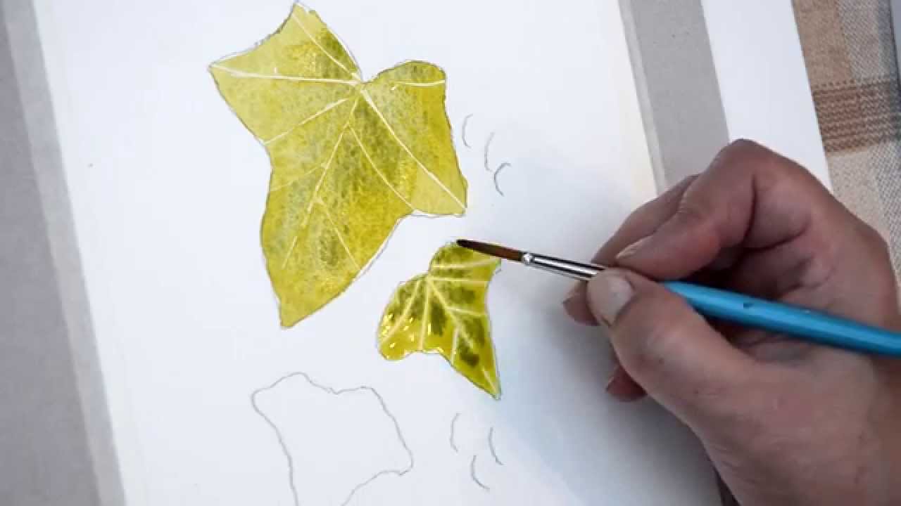 1280x720 ivy leaves art in an hour! - Ivy Leaf Drawing