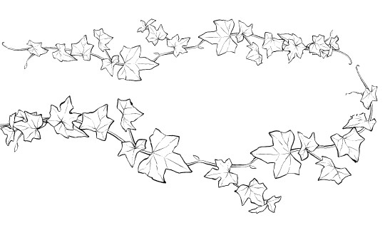 540x316 Ivy Leaves Type Brushes Manga Materials - Ivy Leaf Drawing