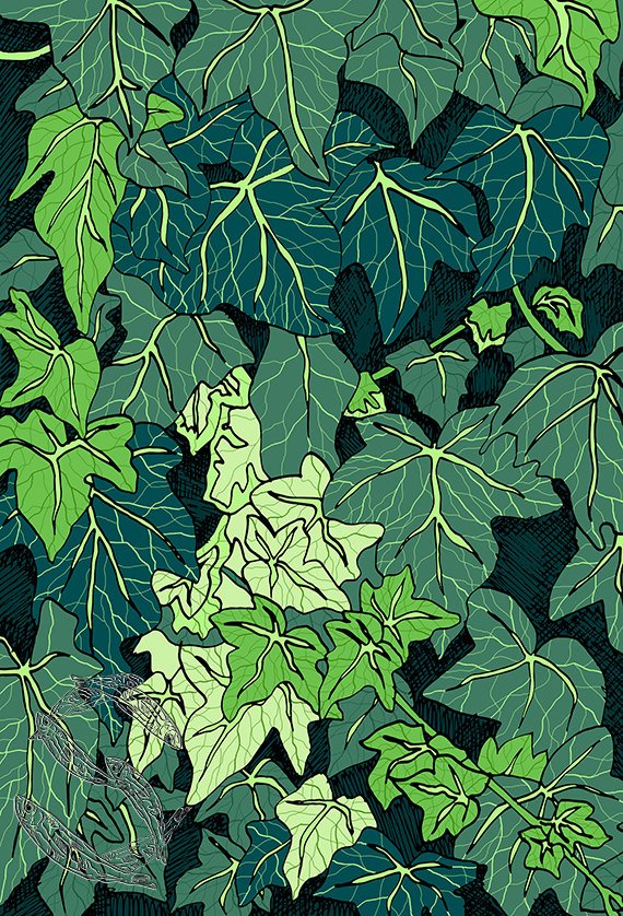 570x838 Ivy Green Leaves Green Wall Art Summer Leaves Small Art Etsy - Ivy Leaf Drawing